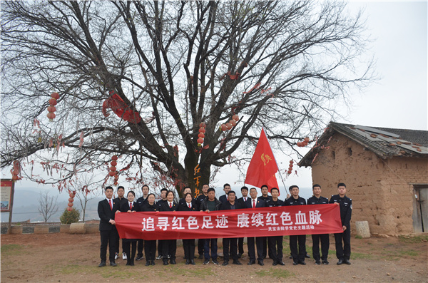 灵宝市有多少人口_灵宝市有多少人口(3)